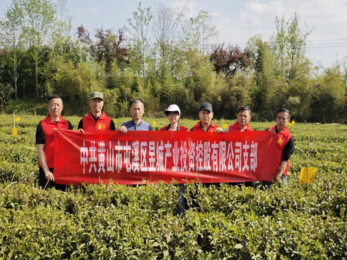 昱城產(chǎn)投公司黨支部開展“茶香潤初心，黨旗映茶園”主題黨日活動