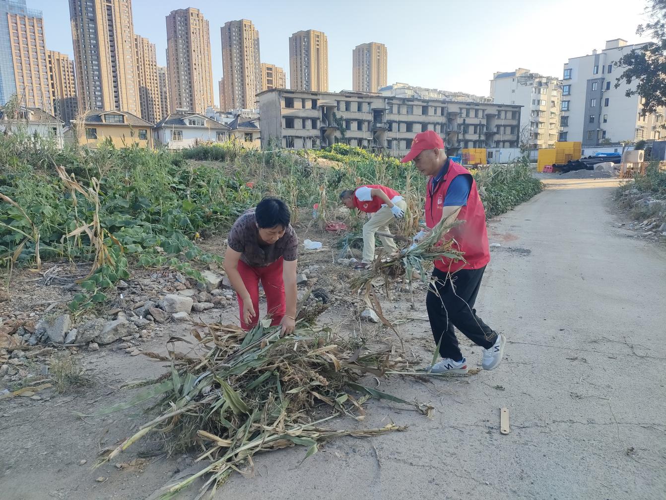 黨員進(jìn)社區(qū)：守護(hù)綠色家園，彰顯國(guó)企擔(dān)當(dāng)