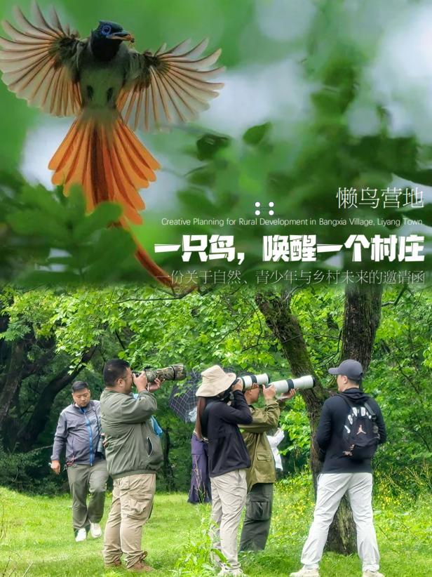 8000萬熱度炸屏！屯溪“護村小祖宗”聯(lián)動短劇頂級頭部平臺帶火綬帶鳥，短劇+文旅解鎖鄉(xiāng)村振興新密碼